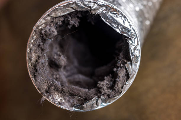 Best HVAC System Cleaning  in Morrice, MI
