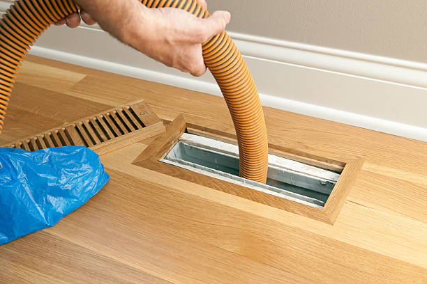 Best Home Air Vent Cleaning  in Morrice, MI