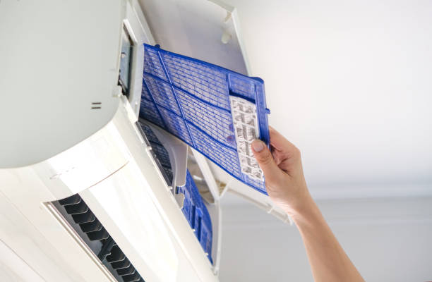 Best Air Duct Cleaning Near Me  in Morrice, MI