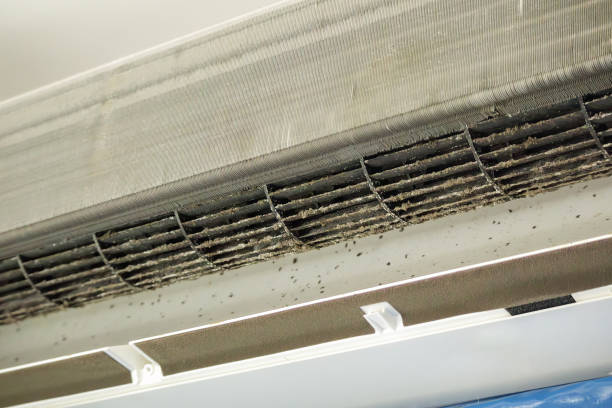 Best Affordable Air Duct Cleaning  in Morrice, MI