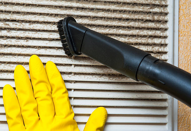 Best HVAC Duct Inspection Services  in Morrice, MI