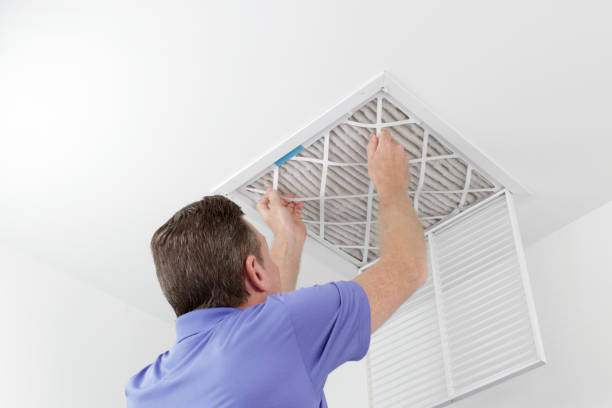 Best Air Duct Cleaning Near Me  in Morrice, MI